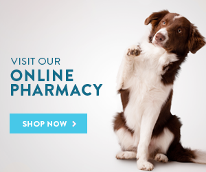 Country Animal Hospital of Louisville - Online Pharmacy Button